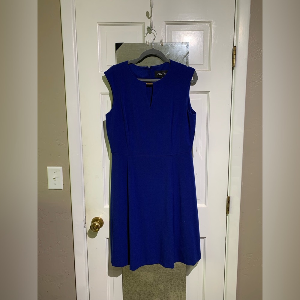 NWT fully lined royal blue dress